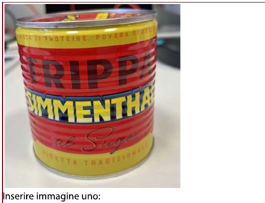 Trippa preparata con sugo